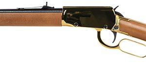Rossi RioBravo L/A 22LR 18"Gold/Hwd 15rd