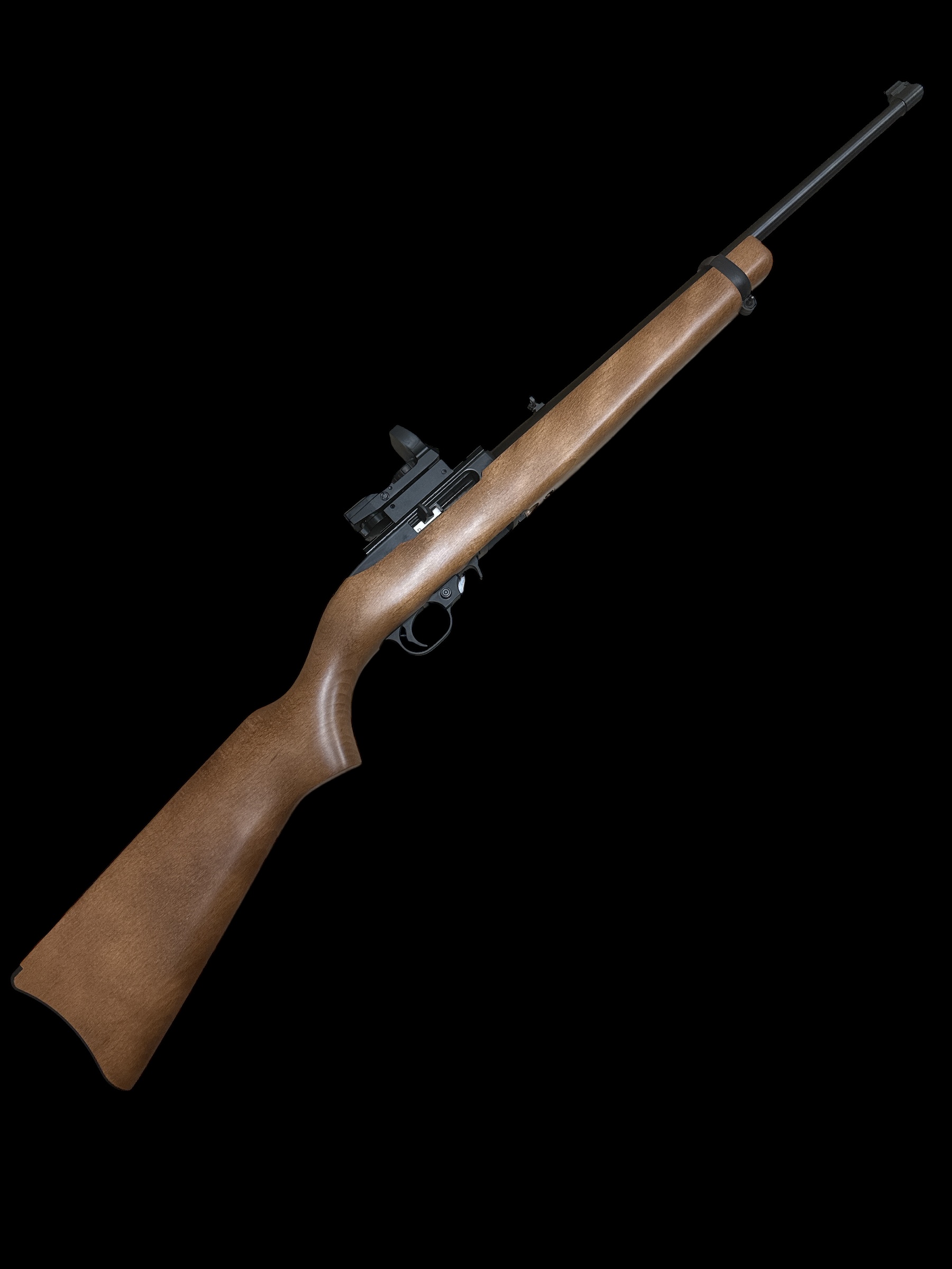Ruger 10/22