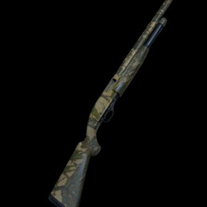Winchester