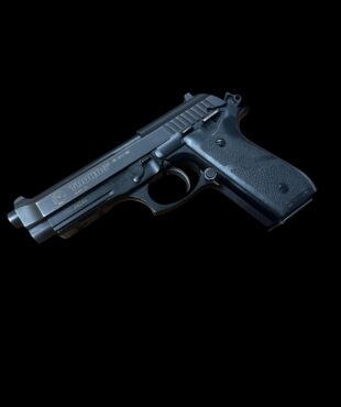 Taurus